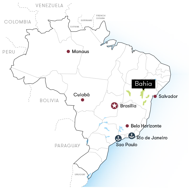 BRASIL TUCÁN
